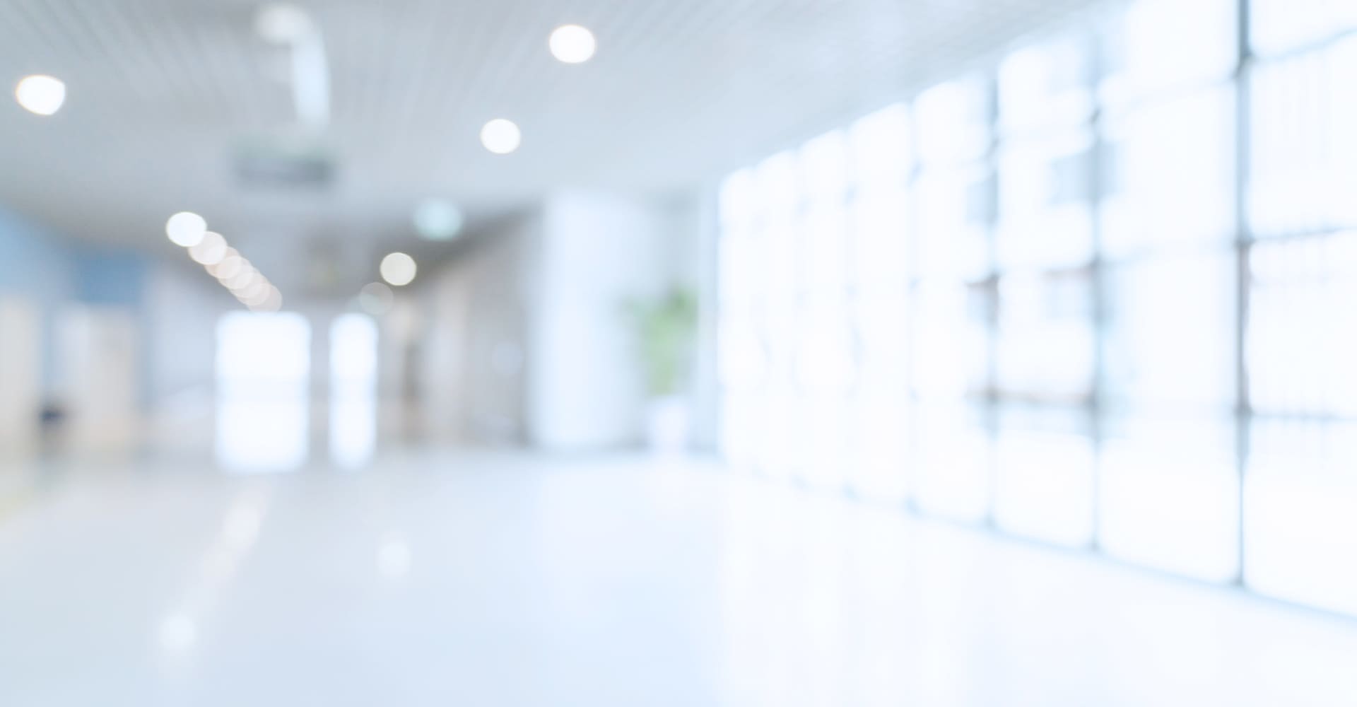 メインビジュアル01（PC）